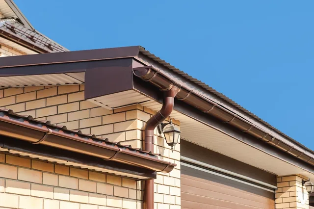 Gutter Guards in Lexington: Protecting Your Home in Horse Country