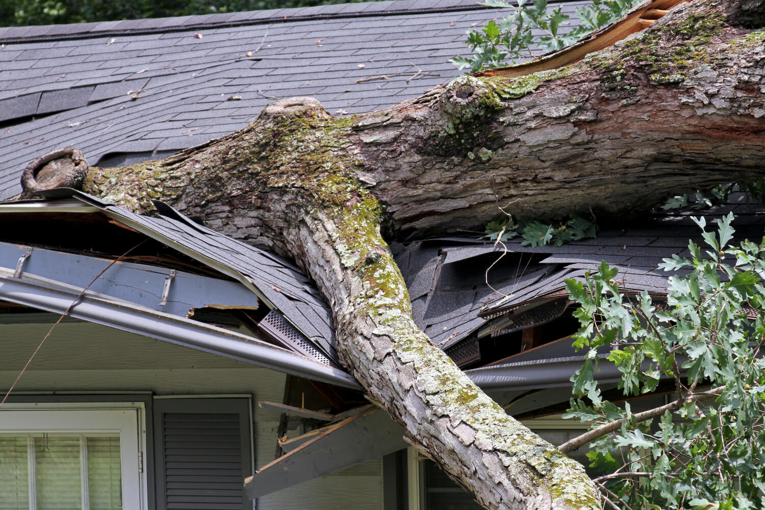 Storm Damage Restoration